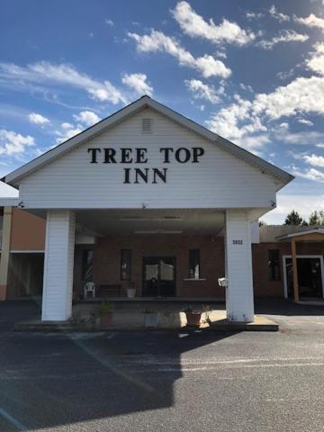Motel Treetop 2*