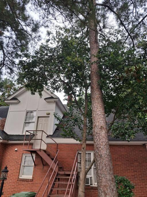 Magnolia Place On Main Apartment *