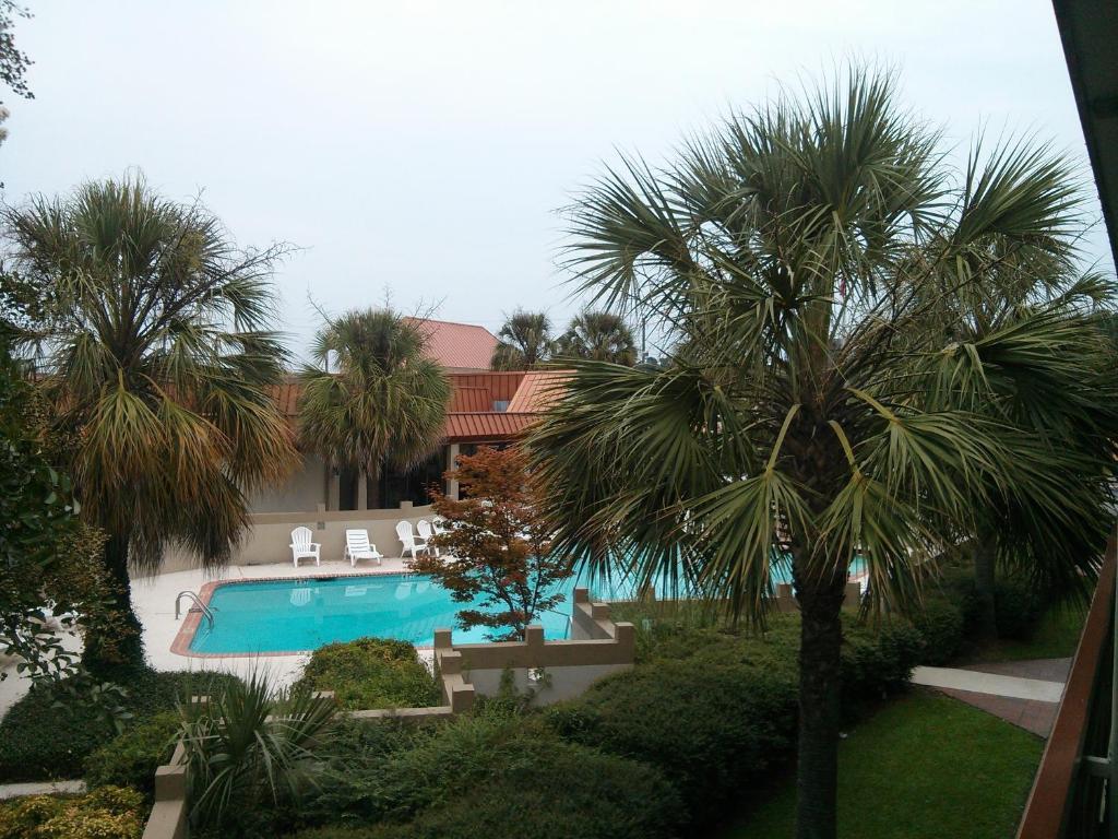6-florence, Sc Florence