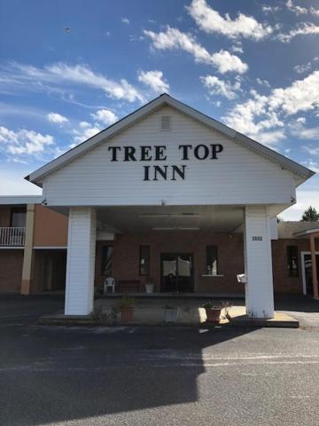 Motel Treetop